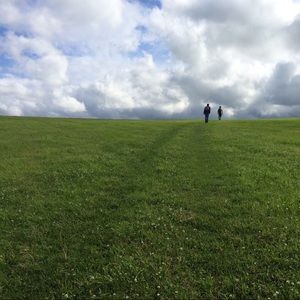 Meet your Posher, Dinah